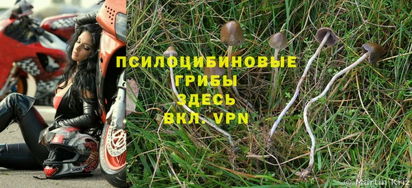 мескалин Арсеньев