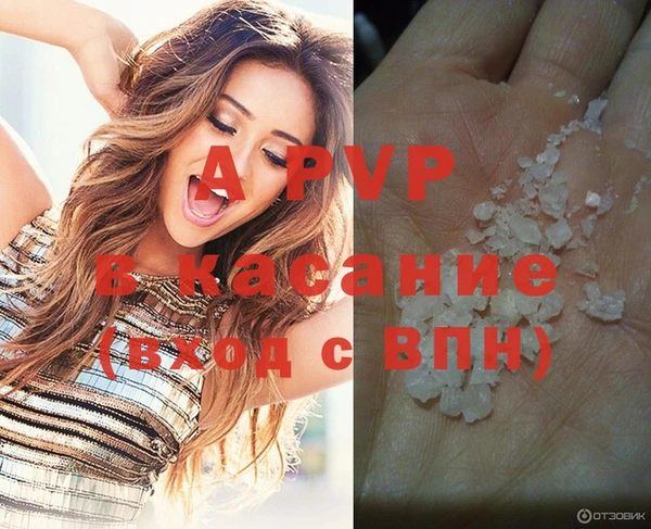 стафф Армянск
