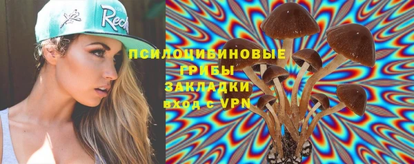мескалин Арсеньев