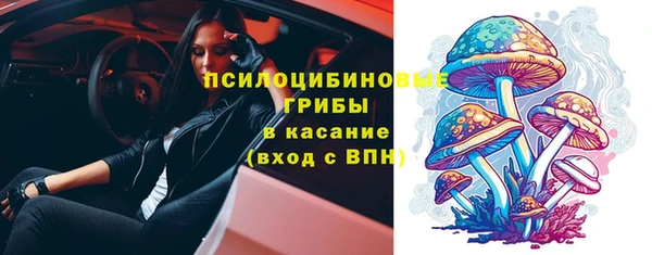 мескалин Арсеньев